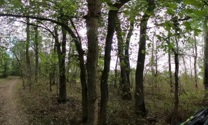 Parcul Natural Lunca Muresului - O plimbare cu bicicleta 2/3 VR Video Parcul Natural Lunca Muresului - O plimbare cu bicicleta 2/3 VR