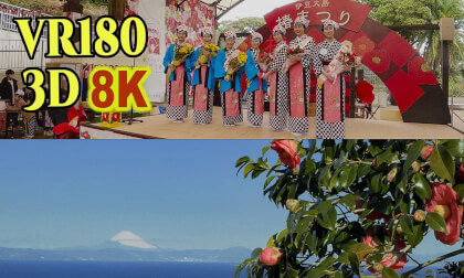 Tsubaki Camellia Festival in Izu-Ohshima-island , Tokyo , JAPAN VR Video Tsubaki Camellia Festival in Izu-Ohshima-island , Tokyo , JAPAN VR