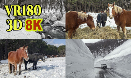 Old 3D images of  Snowy landscape in Aomori Prefecture,Japan inserted into 8K 3D VR180 Old 3D images of  Snowy landscape in Aomori Prefecture,Japan inserted into 8K 3D VR180
