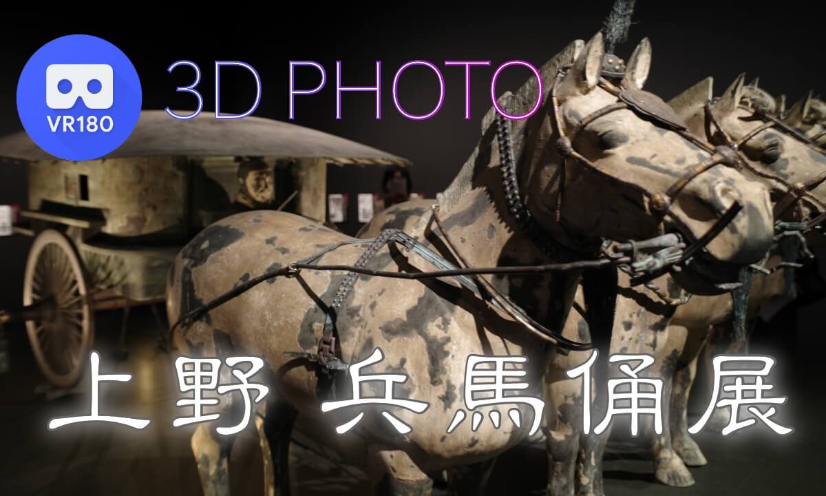 Terracotta Warriors Exhibition at Ueno