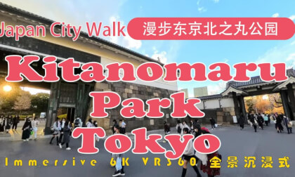 Japan City Walk | Tokyo | 漫步东京北之丸公园  | Kitanomaru Park VR Video Japan City Walk | Tokyo | 漫步东京北之丸公园  | Kitanomaru Park VR