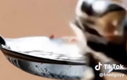 Friedguys A.I. Insects VR Video Friedguys A.I. Insects VR