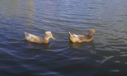 Saite'aole Shopping Center 25.13.2 VR Video Saite'aole Shopping Center 25.13.2 VR