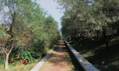 ShenYang Cityscape 25.14.31 VR Video ShenYang Cityscape 25.14.31 VR