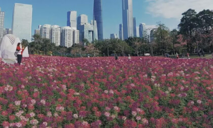 GuangZhou Cityscape 25.21.3 VR Video GuangZhou Cityscape 25.21.3 VR