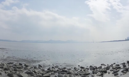 Shenzhen Bay Park 25.22.2 VR Video Shenzhen Bay Park 25.22.2 VR