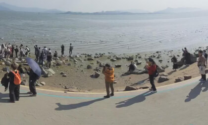 Shenzhen Bay Park 25.22.4 VR Video Shenzhen Bay Park 25.22.4 VR