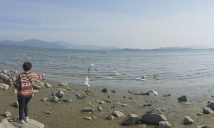 Shenzhen Bay Park 25.22.5 VR Video Shenzhen Bay Park 25.22.5 VR