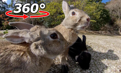 VR 360° | This is our territory!
