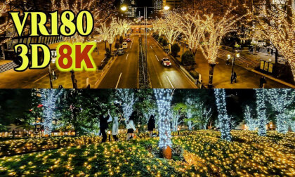 Winter illuminations in Shinjuku , Tokyo , JAPAN
