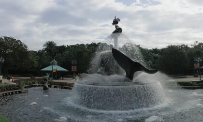 Disneyland HK 25.25.3 VR Video Disneyland HK 25.25.3 VR