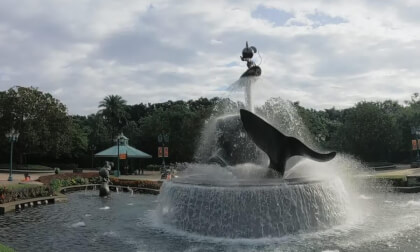 Disneyland HK 25.25.1-10 VR Video Disneyland HK 25.25.1-10 VR