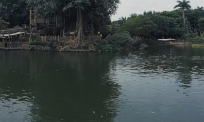 Disneyland HK 25.25.36
