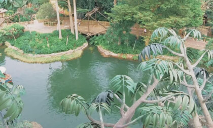 Disneyland HK 25.25.39 VR Video Disneyland HK 25.25.39 VR