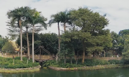 Disneyland HK 25.25.42 VR Video Disneyland HK 25.25.42 VR