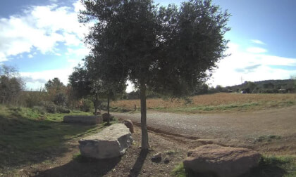 LLAC PETIT de Terrassa (Catalunya) Barcelona Calf Visinse VR Video LLAC PETIT de Terrassa (Catalunya) Barcelona Calf Visinse VR