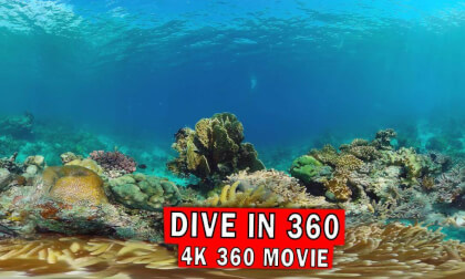 Dive in 360 |  360 4K Dive in 360 |  360 4K