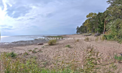 pen_start_180 VR Video pen_start_180 VR