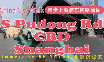 China City Walk | Shanghai | 漫步上海浦东南路商圈 | S Pudong Rd Business District