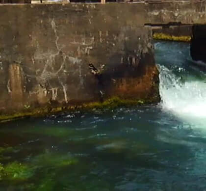 57eac31f-4c79-4c1a-82c8-1d81b9051e45