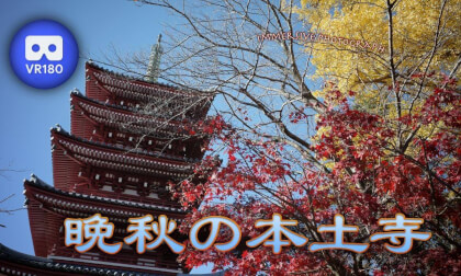 Hondoji Temple at late autumn VR Video Hondoji Temple at late autumn VR
