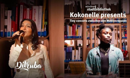 Tiny Concerts: Dilruba VR Video Tiny Concerts: Dilruba VR