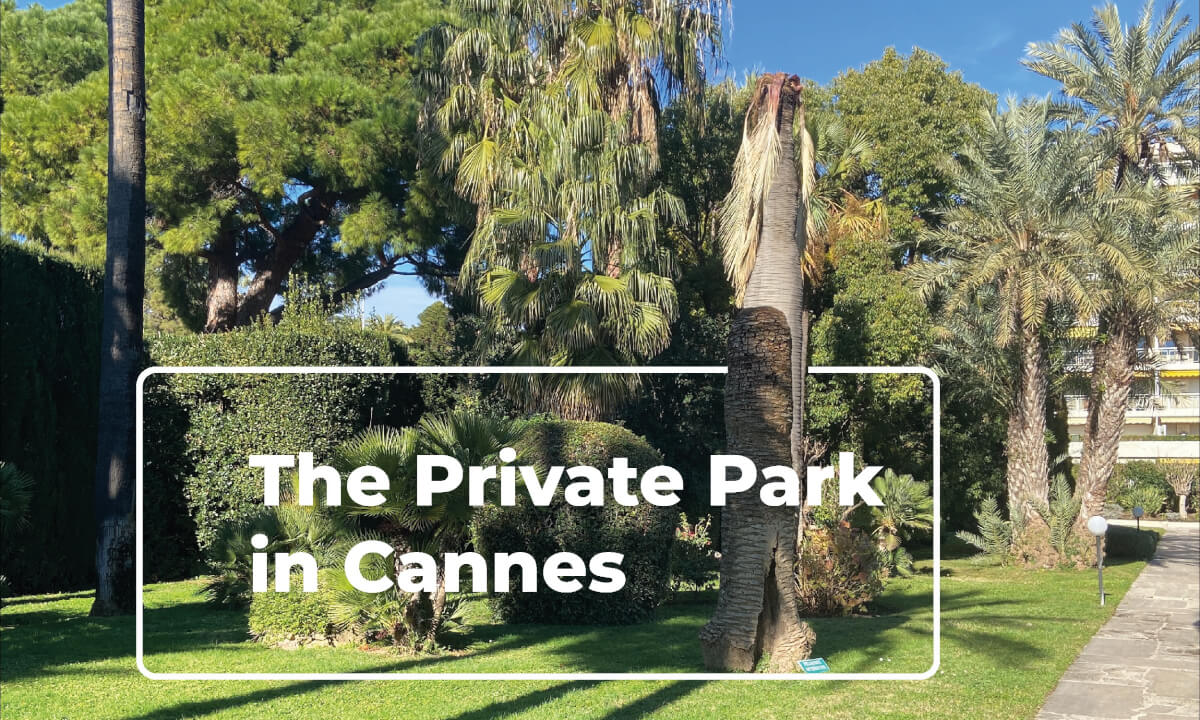 Hidden Paradise: Private Park in Cannes | 360