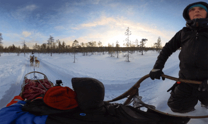 Insta 360 Dog Sledding Ride in VR VR Video Insta 360 Dog Sledding Ride in VR VR