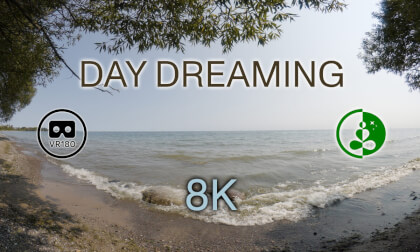 DAY DREAMING  VR180  8K  Relaxing Nature VR Video DAY DREAMING  VR180  8K  Relaxing Nature VR