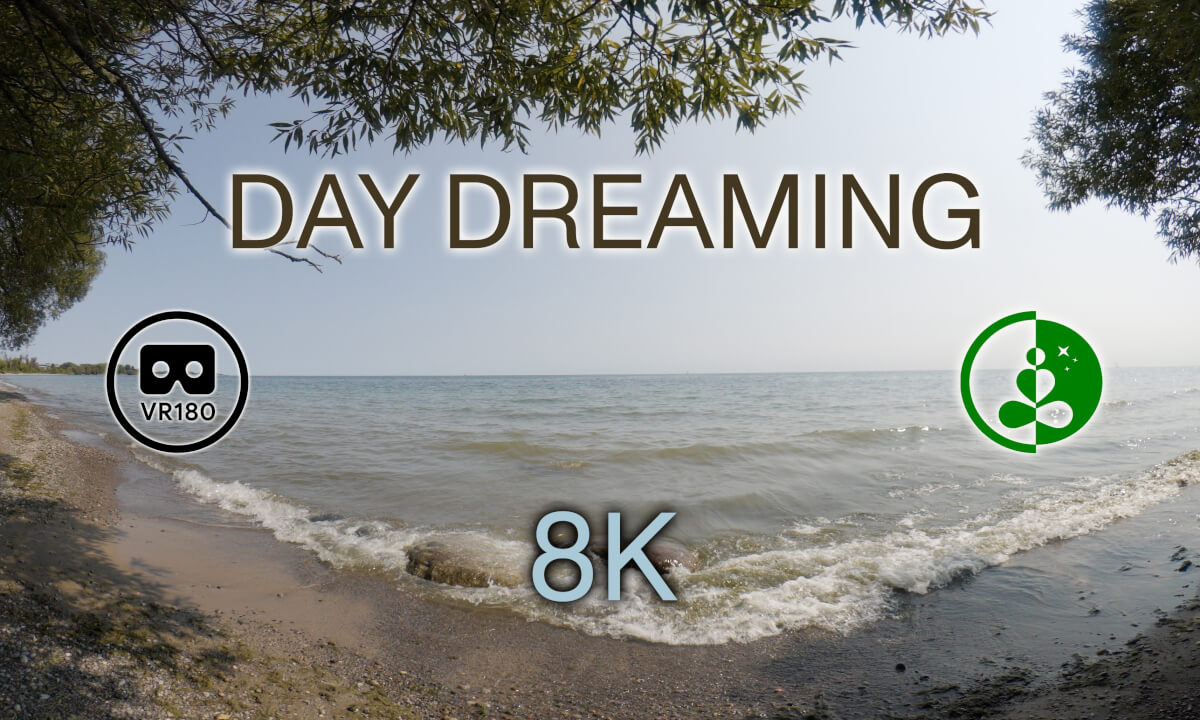 DAY DREAMING VR180 8K Relaxing Nature