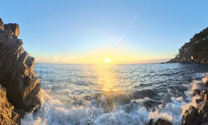 TAICHIROCASCALELLA VR Video TAICHIROCASCALELLA VR