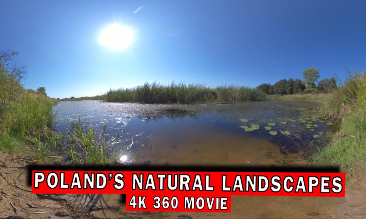 Meditation in Poland’s Natural Landscapes: A VR Escape to Serenity | 360 3D 4K
