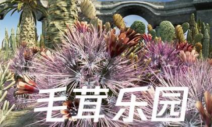 Video 多肉 VR Video Video 多肉 VR