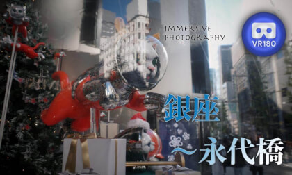 Ginza - Eitaibashi VR Video Ginza - Eitaibashi VR