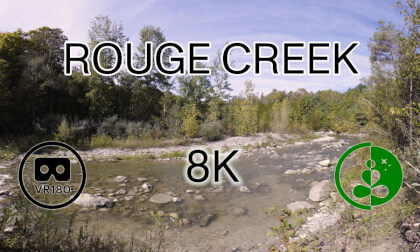 ROUGE CREEK | 8K | VR180 VR Video ROUGE CREEK | 8K | VR180 VR