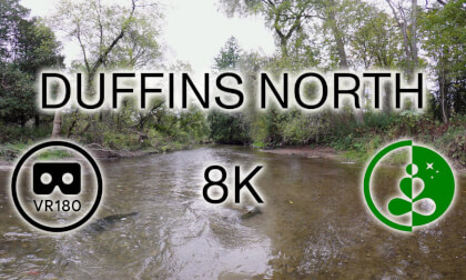 DUFFINS NORTH - Tranquil Salmon Journey | VR180 | 8K VR Video DUFFINS NORTH - Tranquil Salmon Journey | VR180 | 8K VR