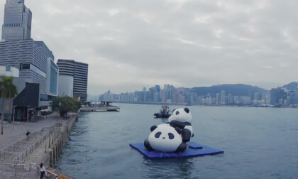 HongKong Tours 25.26.4  Victoria Harbour Morning VR Video HongKong Tours 25.26.4  Victoria Harbour Morning VR