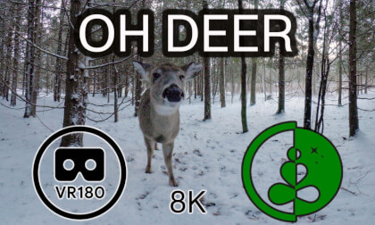 OH DEER | VR180 Nature Experience OH DEER | VR180 Nature Experience