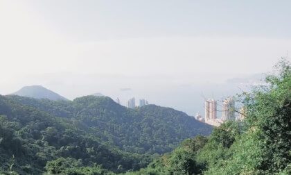 HongKong Tours 25.26.68 Victoria Peak VR Video HongKong Tours 25.26.68 Victoria Peak VR