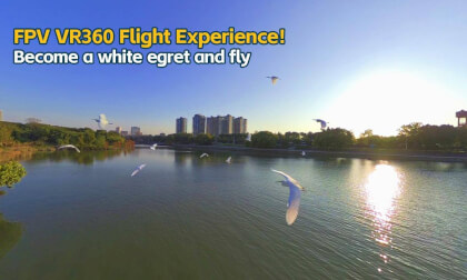 VR360Cam+FPV fully invisible shooting of ecology and egrets VR Video VR360Cam+FPV fully invisible shooting of ecology and egrets VR