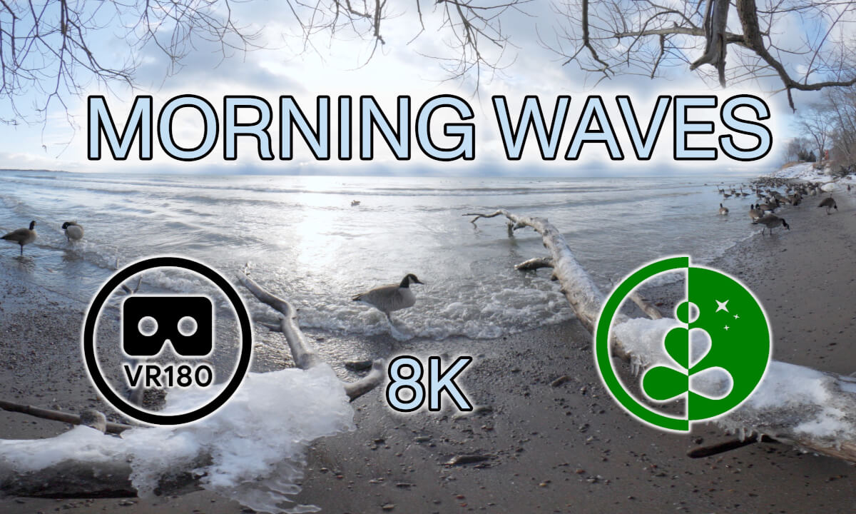 MORNING WAVES | VR180 Nature Relaxation Experience