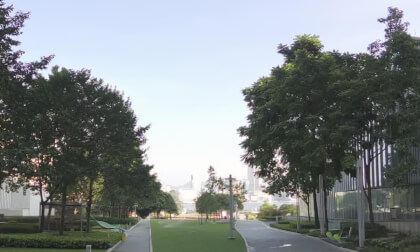 HongKong Tours 25.26.71 Central VR Video HongKong Tours 25.26.71 Central VR