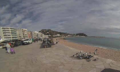 BLANES  (GIRONA) 31-1-2025 BLANES  (GIRONA) 31-1-2025