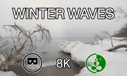 WINTER WAVES | VR180 | Nature Experience VR Video WINTER WAVES | VR180 | Nature Experience VR