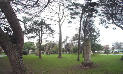 Jardines de Méndez Núñez. A Coruña (VR180 3D) VR Video Jardines de Méndez Núñez. A Coruña (VR180 3D) VR