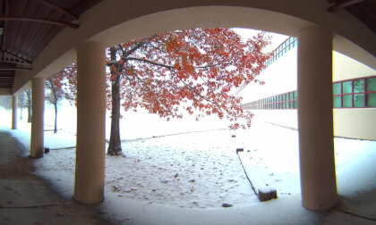 Snow Day 2025 3D VR 8K 180 VR Video Snow Day 2025 3D VR 8K 180 VR