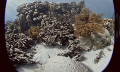 Underwater CC Test