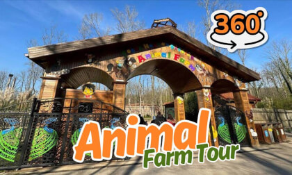 Animal Farm - 360 Video VR Video Animal Farm - 360 Video VR