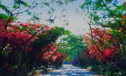 China. Shenzhen VR Video China. Shenzhen VR