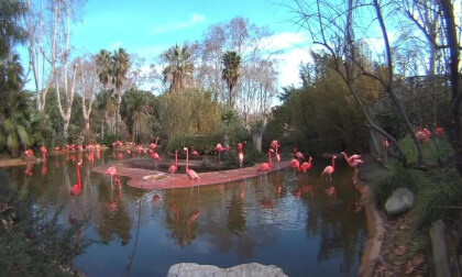 ZOO BARCELONA  VR180- VR Video ZOO BARCELONA  VR180- VR